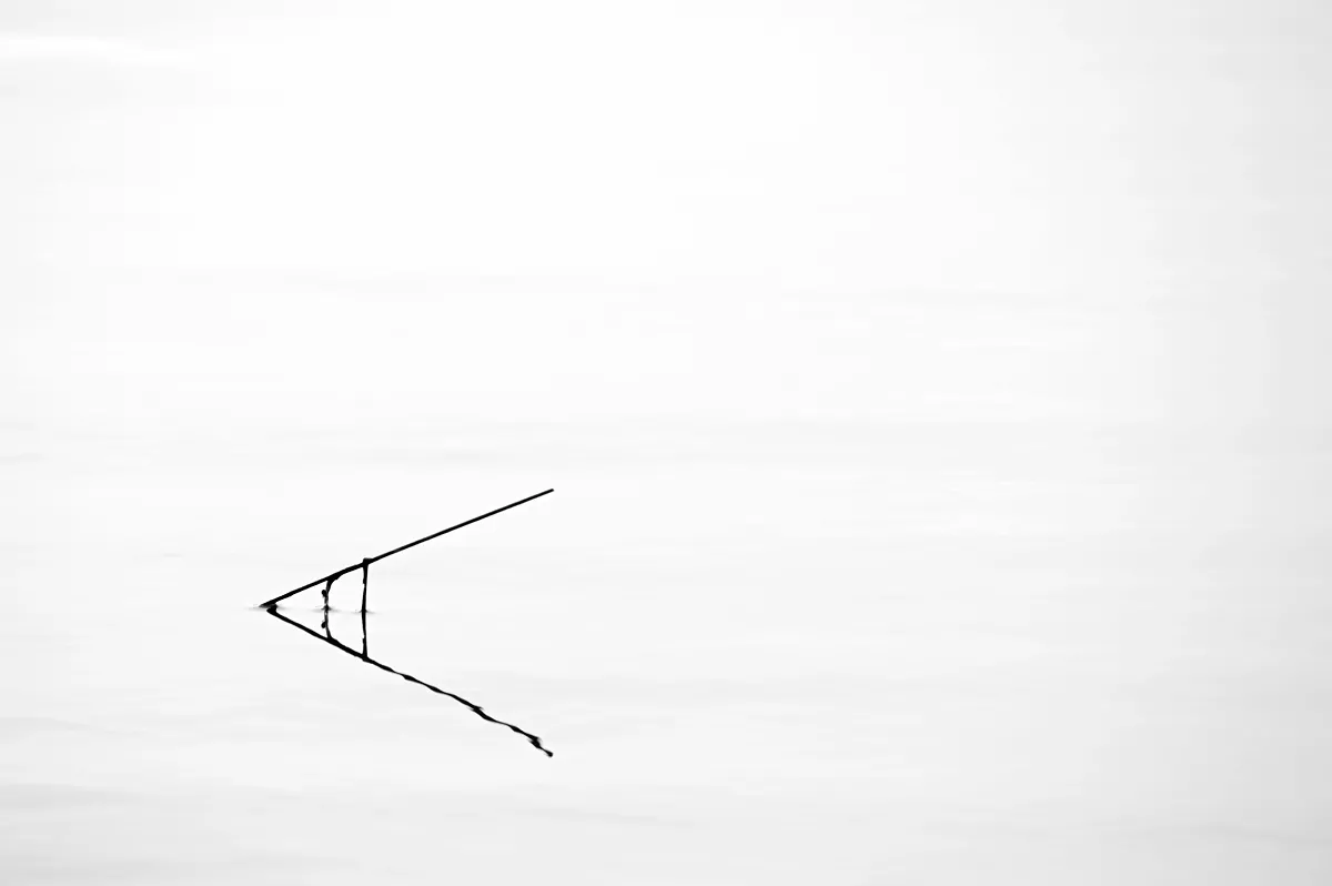 Franz Josef Trollmann